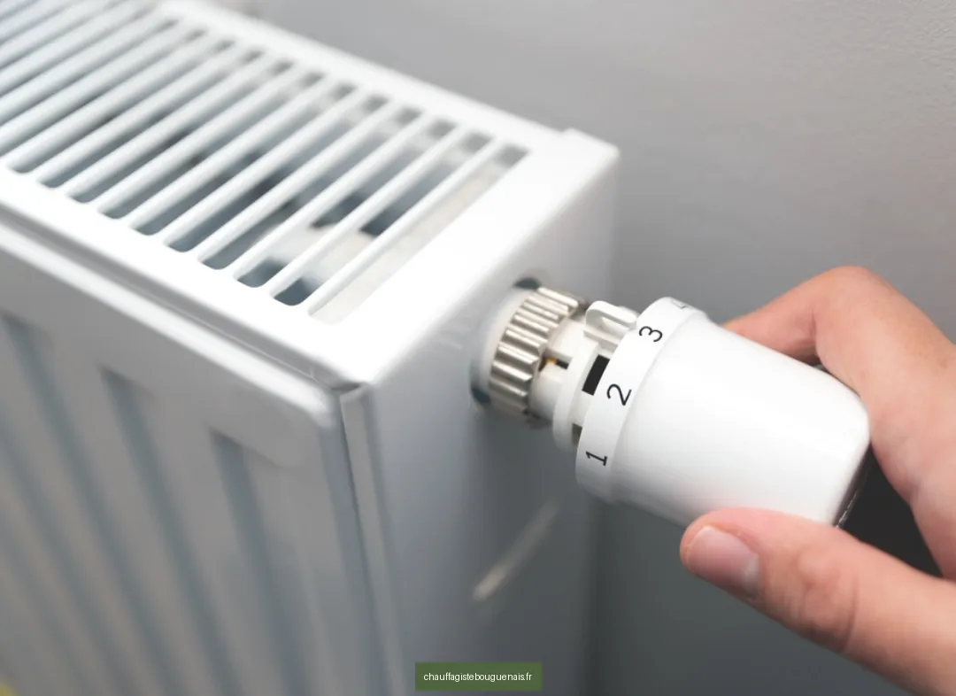 Remplacement de Thermostat Bouguenais